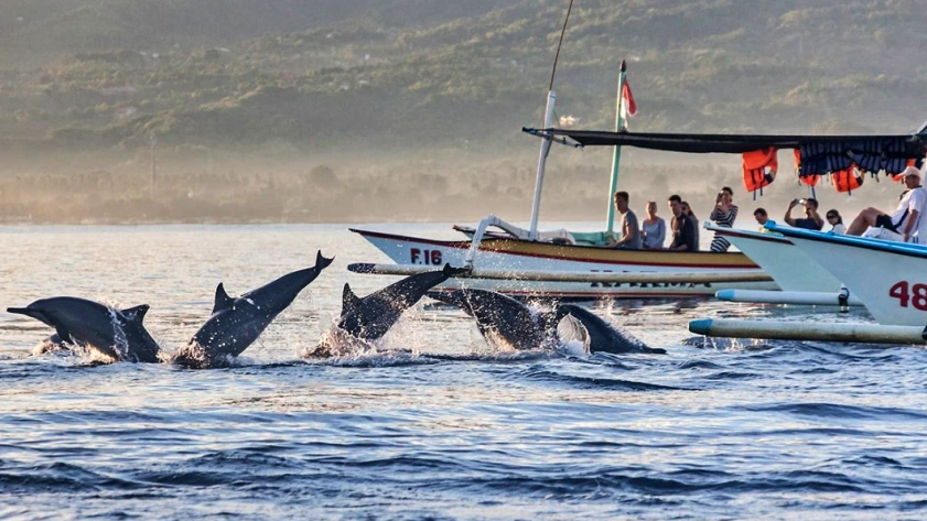 Menguji Adrenalin: Menguak Surga Petualangan dan Outbound Tersembunyi di Bali